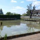 Mare de Sognolles en Montois