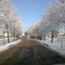 Luisetaines sous la neige