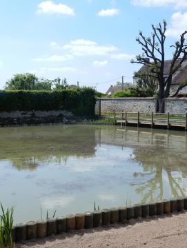 Mare de Sognolles en Montois