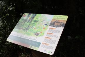 Rando 13 - valorisation