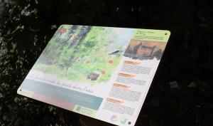 Rando 13 - valorisation