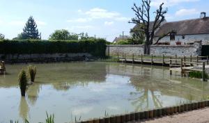 Mare de Sognolles en Montois