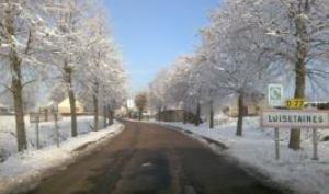 Luisetaines sous la neige