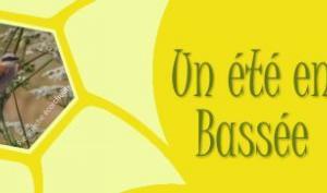 Vignette Un été en Bassée