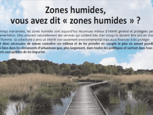 Zones humide
