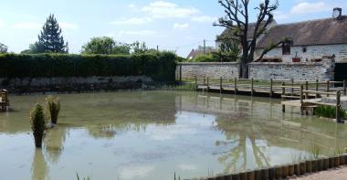 Mare de Sognolles en Montois