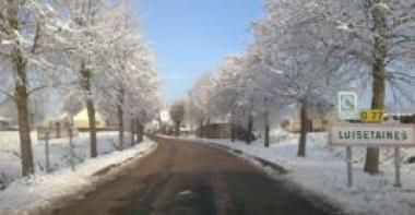 Luisetaines sous la neige