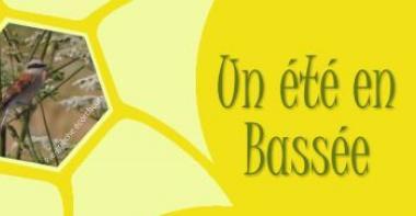 Vignette Un été en Bassée