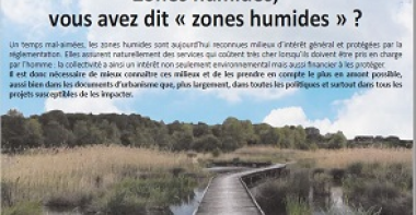 Zones humide