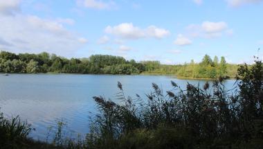 5 septembre 2019 - Gravière de la Cochard