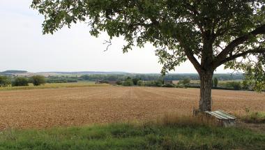 Rando 13 - valorisation