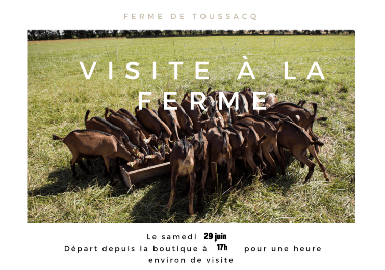 Agrandir l’image